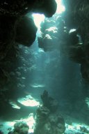 20000906_Shaab_Samaday_2_0010